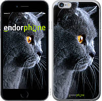 Силиконовый чехол Endorphone на iPhone 6s Plus Красивый кот (3038u-91-26985)