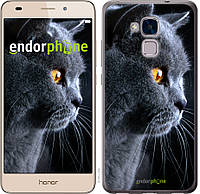 Пластиковый чехол Endorphone на Huawei GT3 Красивый кот (3038t-472-26985)