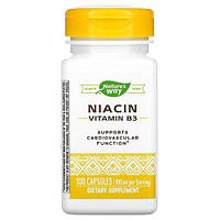 Nature's Way Niacin Vitamin B3 100 mg 100 капсул Lodgi