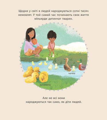 Книга для дітей "Дивовижні дитинчата тварин" | Ранок, фото 3
