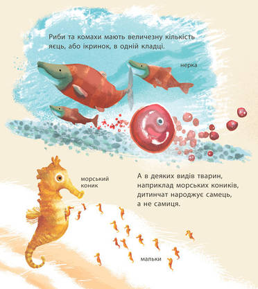 Книга для дітей "Дивовижні дитинчата тварин" | Ранок, фото 4
