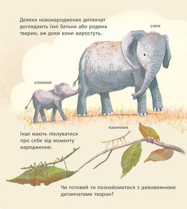 Книга для дітей "Дивовижні дитинчата тварин" | Ранок, фото 5
