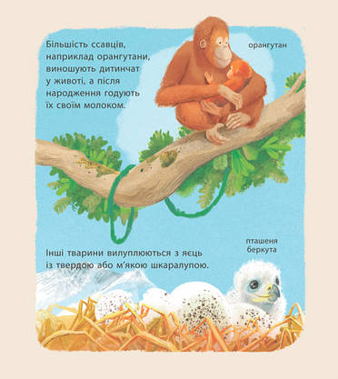 Книга для дітей "Дивовижні дитинчата тварин" | Ранок, фото 6