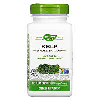 Витамины и минералы Nature's Way Kelp, 180 вегакапсул HS