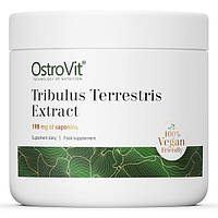 Стимулятор тестостерона OstroVit Vege Tribulus Terrestris Extract, 100 грамм HS