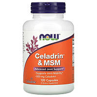 Препарат для суставов и связок NOW Celadrin & MSM 500 mg, 120 капсул HS