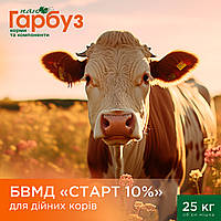 БВМД 10% для дойных коров (25кг)