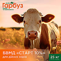 БВМД "СТАРТ 10%" для дойных коров (25кг)