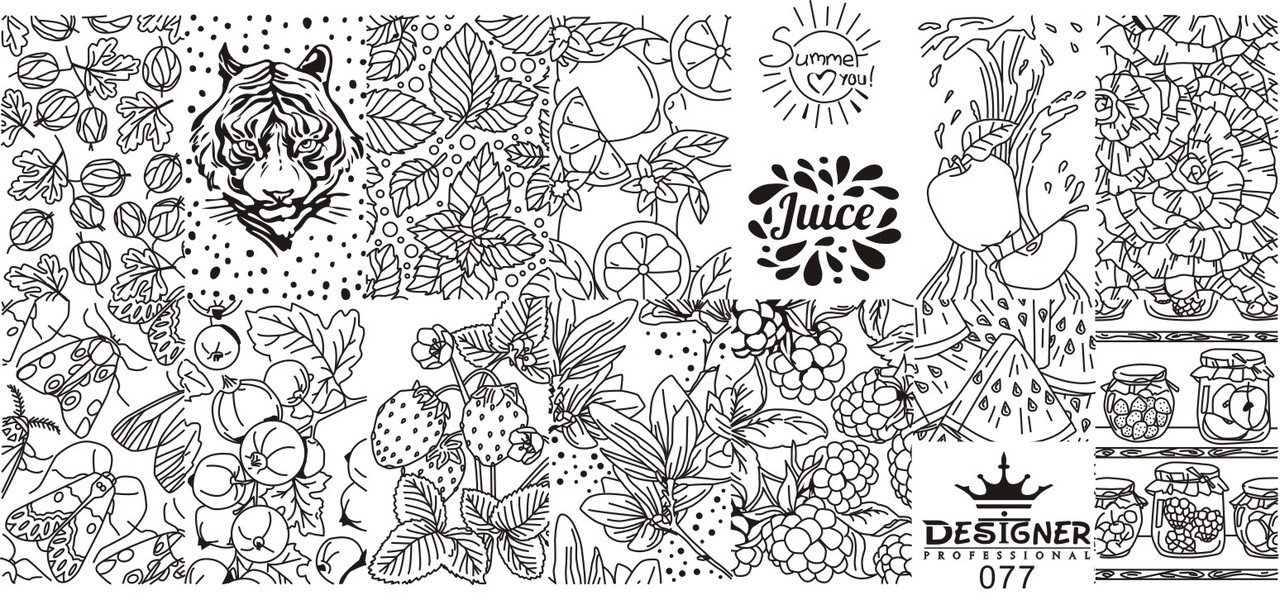 Пластина для стемпінгу Designer Professional, 12 х 6 см, #77, фото 1