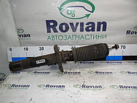 Стойка передняя (амортизатор) Volkswagen CADDY 3 2004-2010 (Фольксваген Кадди), 1T0413031EG (БУ-262685)