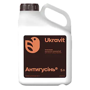 Барлық санаттағы онлайн порно оргия бейнелері