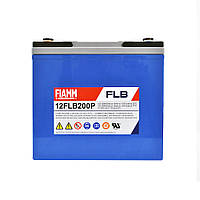 Тяговая аккумуляторная батарея AGM FIAMM high performance 12V55Ah (12FLB200P)