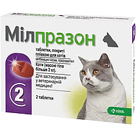 Таблетка от гельминтов Милпразон коты 16 мг/40 мг, 1 табл