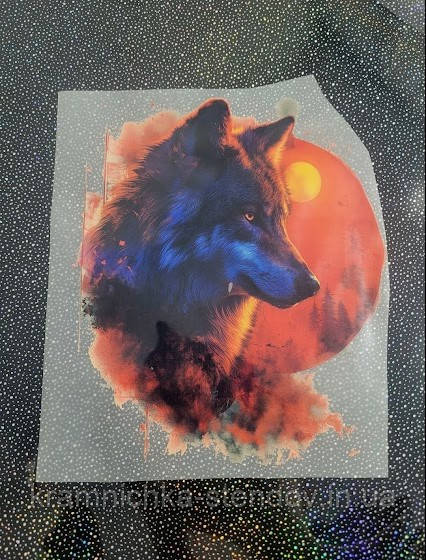 Термонаклейка на одяг, фото 1