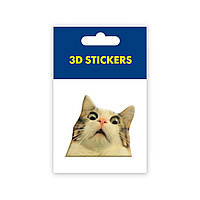 3D-стикер Мем удивленный котик SX-27 Tattooshka FT, код: 7933301