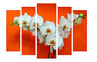 Модульная картина Декор Карпаты 120х80 см Белые Орхидеи (M5-С-4) PM, код: 184367