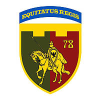Шеврон 78 отдельный батальон ТРО "Equitatus regis" Шевроны на заказ Шевроны на липучке ВСУ (AN-12-1571)