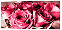 Картина на холсте Декор Карпаты Розы 50х100 см (c6) PK, код: 741318