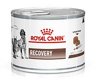 Корм Royal Canin Recovery влажный для котов и собак в период восстановления 195 гр DS, код: 8452215