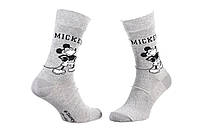 Носки Disney Mickey Mickey + Character 43-46 (93154962-4) light grey PM, код: 2467116