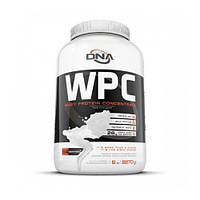 Протеин Dna Supps WPC 2270 g 64 servings Vanilla PI, код: 7604182