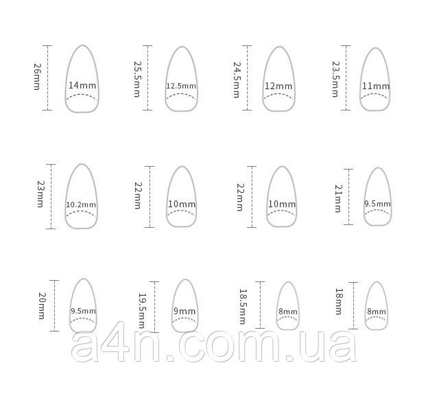 Накладные ногти - Интернет-магазин A4N Размеры накладных ногтей