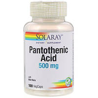 Пантотеновая кислота Solaray Pantothenic Acid 500 mg 100 Veg Caps SOR-04380 PM, код: 7519931