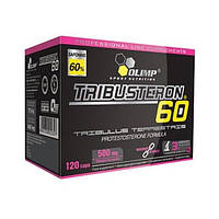 Трибулус Olimp Nutrition Tribusteron 60 120 Caps BB, код: 7520171