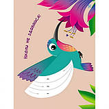 Дитяча книга Ranok Creative Стикеркартинки: Чудо-птиці АРТ 18802 укр KB, код: 7788345, фото 4