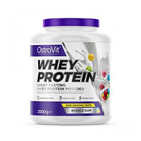 Протеин OstroVit Whey Protein 2000 g 66 servings Bubble Gum EM, код: 8206839