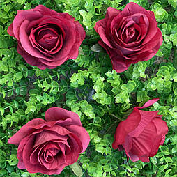 Головка троянди 8 см марсал