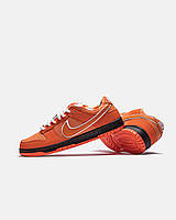 Мужские кроссовки Nike Sb Dunk Low Concepts X Orange Lobster