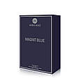 Парфумована вода для чоловіків "MAGNIT BLUE" Mira Max, 100 мл (аромат схожий на Chanel Blue de Chanel), фото 3