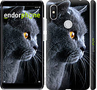Силиконовый чехол Endorphone на Xiaomi Redmi S2 Красивый кот (3038u-1494-26985) BB, код: 1390658
