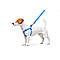 Шлея для собак водостійка WAUDOG Waterproof з QR-паспортом, металева пряжка-фастекс, Ш 15 мм, Дл 40-55, фото 7