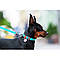 Нашийник для собак водостійкий WAUDOG Waterproof з QR-паспортом, світний, металева пряжка-фастекс, Ш 25, фото 3
