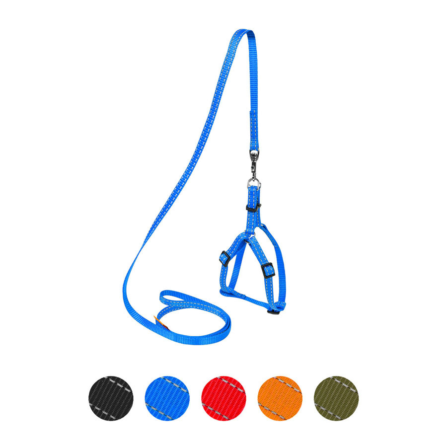 Шлея "Dog Extreme" нейлонова регульована з повідцем (ширина 14 мм, довжина 115 см, В:40-55 см) блакитний, фото 1