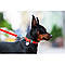 Нашийник для собак водостійкий WAUDOG Waterproof з QR-паспортом, металева пряжка-фастекс, Ш 25 мм, Дл, фото 4