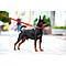 Нашийник для собак водостійкий WAUDOG Waterproof з QR-паспортом, металева пряжка-фастекс, Ш 25 мм, Дл, фото 6