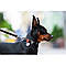 Нашийник для собак водостійкий WAUDOG Waterproof з QR-паспортом, металева пряжка-фастекс, Ш 15 мм, Дл, фото 4