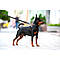 Нашийник для собак водостійкий WAUDOG Waterproof з QR-паспортом, металева пряжка-фастекс, Ш 15 мм, Дл, фото 6