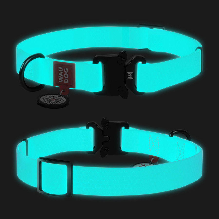 Нашийник для собак водостійкий WAUDOG Waterproof з QR-паспортом, світний, металева пряжка-фастекс, Ш 20, фото 1