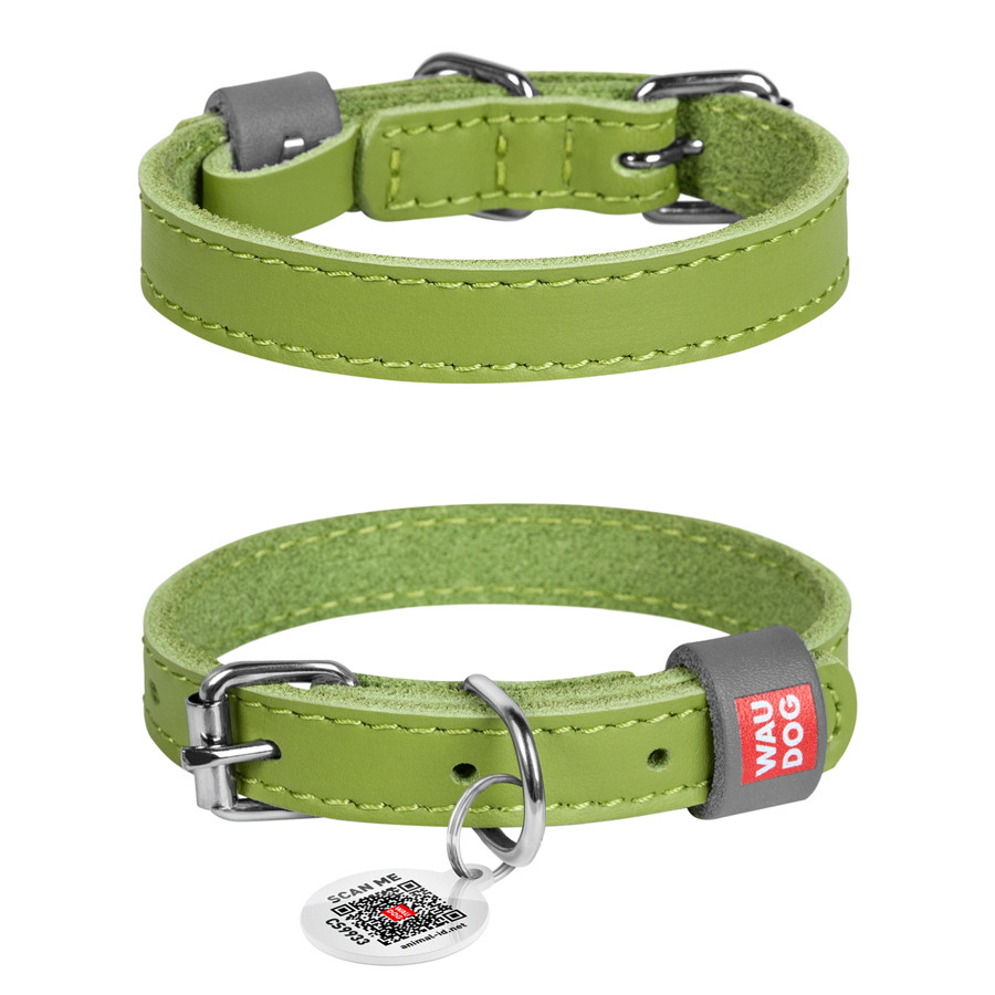 Нашийник для собак шкіряний WAUDOG Classic, Ш 12 мм, Д 19-25 см салатовий, фото 1
