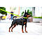 Нашийник для собак водостійкий WAUDOG Waterproof з QR-паспортом, металева пряжка-фастекс, Ш 25 мм, Дл, фото 6