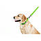 Повідець для собак водостійкий WAUDOG Waterproof, M, Ш 20 мм, Д 122 см салатовий, фото 4