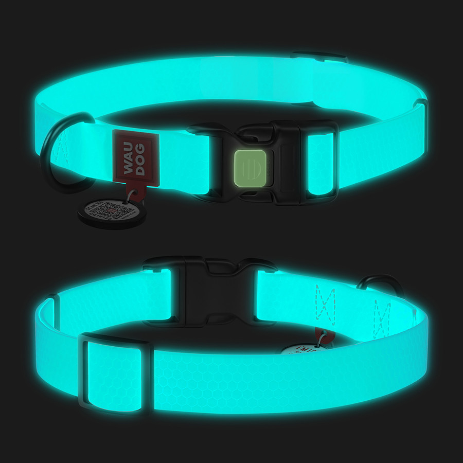 Нашийник для собак водостійкий WAUDOG Waterproof з QR-паспортом, світний, пластикова пряжка-фастекс, Ш 25, фото 1
