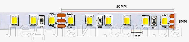 LED strip 24V 2835 120 IP20 CCT