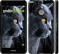 Пластиковый чехол Endorphone на Huawei Nova Красивый кот (3038m-439-26985) MY, код: 1390849