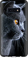 Чохол tpu чорний Endorphone Samsung Galaxy S10e Красивий кіт (3038b-1646-26985) BB, код: 7949452