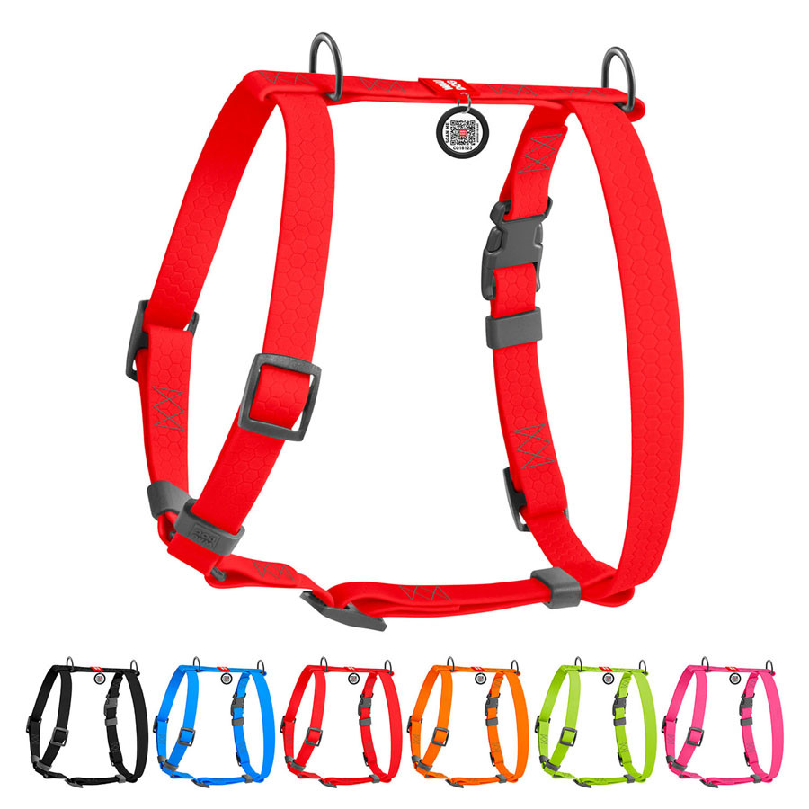 Шлея для собак водостійка анатомічна Н-подібна WAUDOG Waterproof з QR-паспортом, пластикова, фото 1